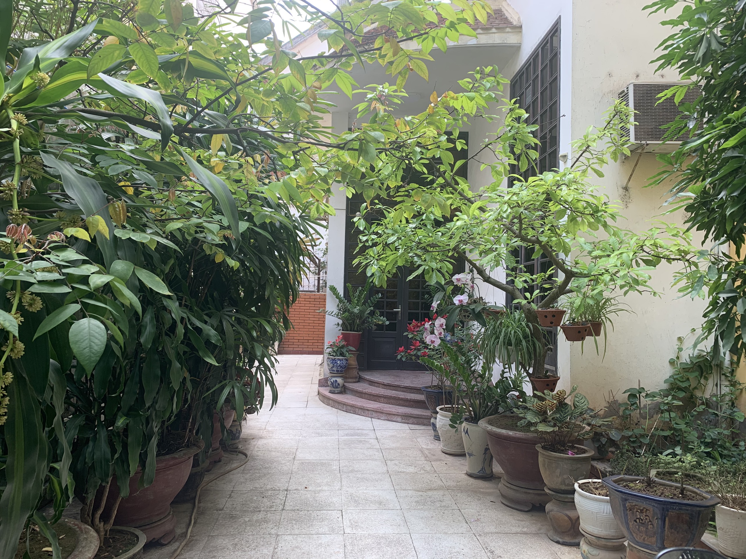 Bán mảnh đất 240m2, phố Từ Hoa. Sổ đỏ vuông vắn, giá bán 38,4 tỷ