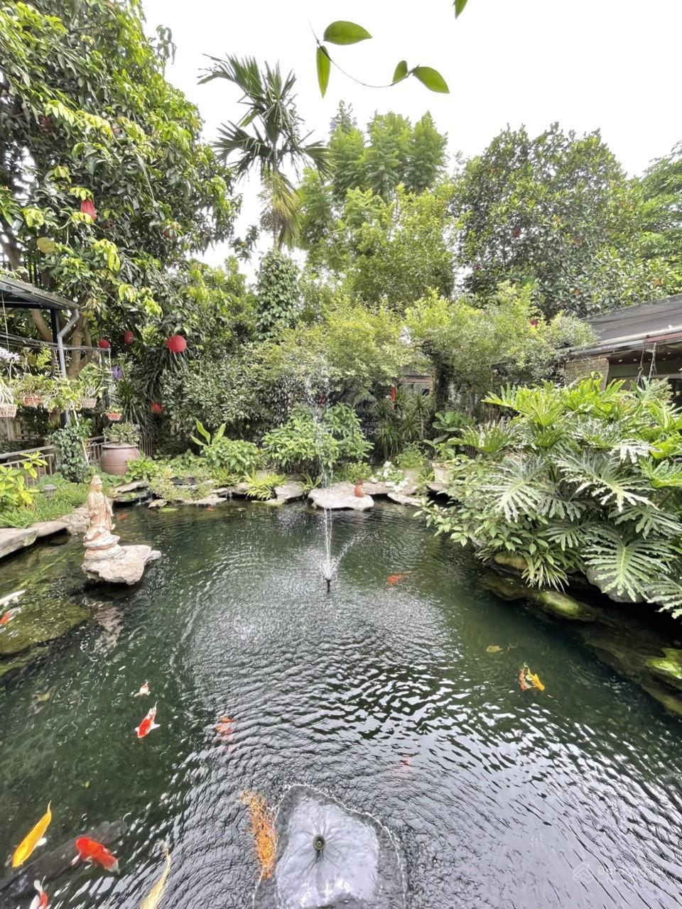 Cho thuê nhà đất có vườn cây, ao cá, diện tích 400m2 thiết kế 3 phòng ngủ tại An Dương, Tây Hồ